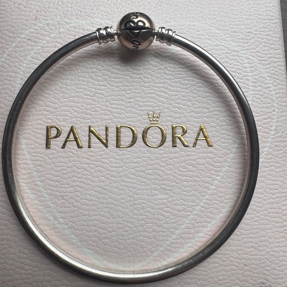 Pandora Silver Charm Bracelet Sleek Design